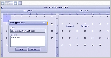 Calendar for WebForms Component: Minimal Application