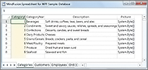 MindFusion Tabellenkalkulation für WPF: Datenbank