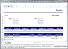 MindFusion Spreadsheet for WPF: Invoice Template