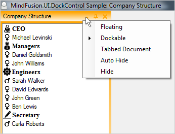 MindFusion Layout Manager: Dock Styles