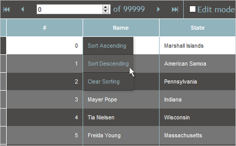 Sorting, Filtering and Navigation in a JavaScript Grid