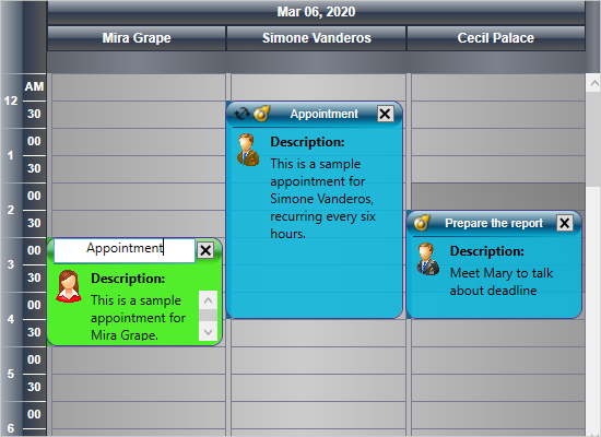 Custom Item Templates in the WPF Scheduler
